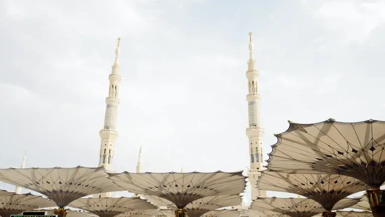 Ekim Umresi — 8 Günlük